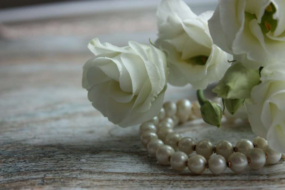 Photo Pearl necklace