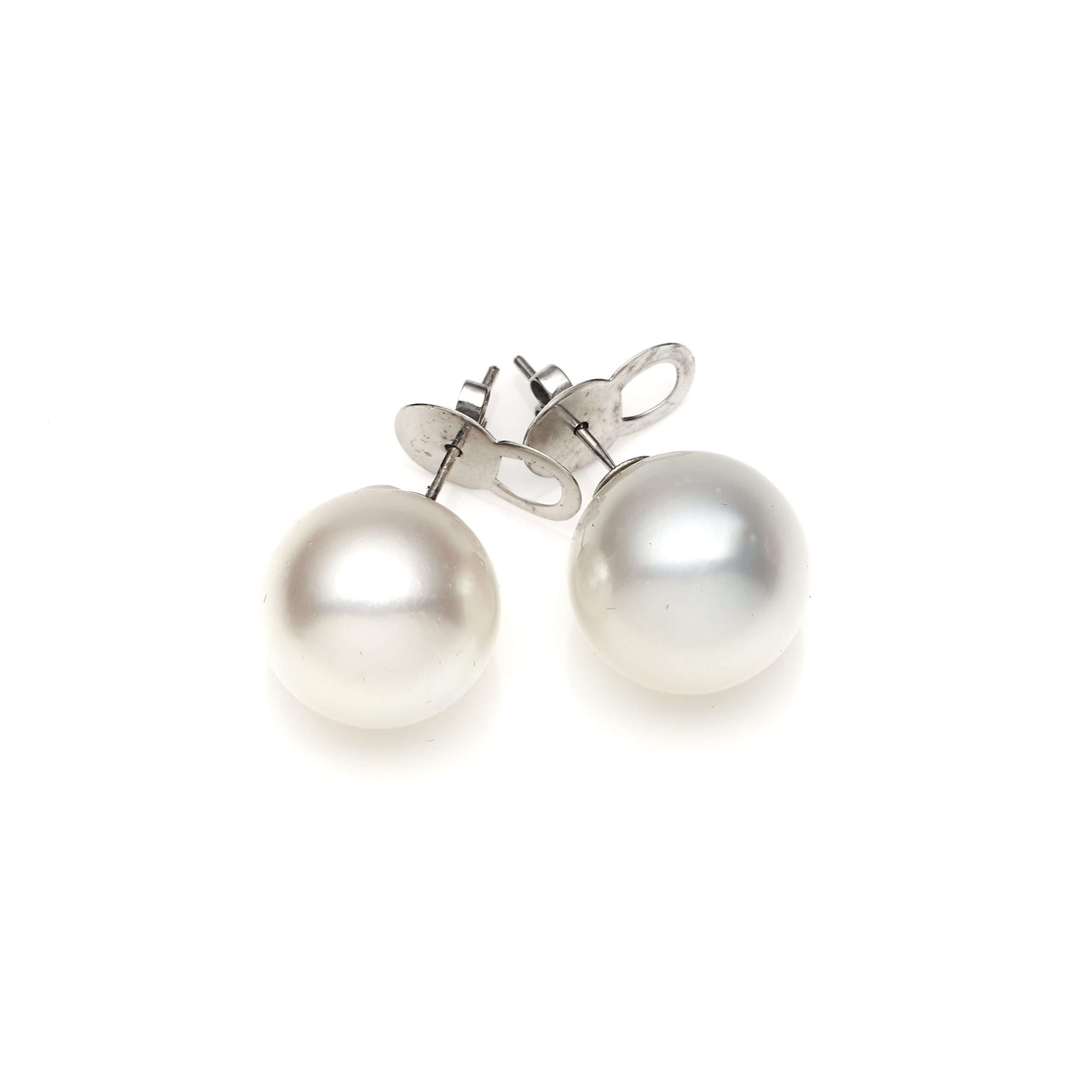 South Sea Pearl Earrings in Sterling Silver
