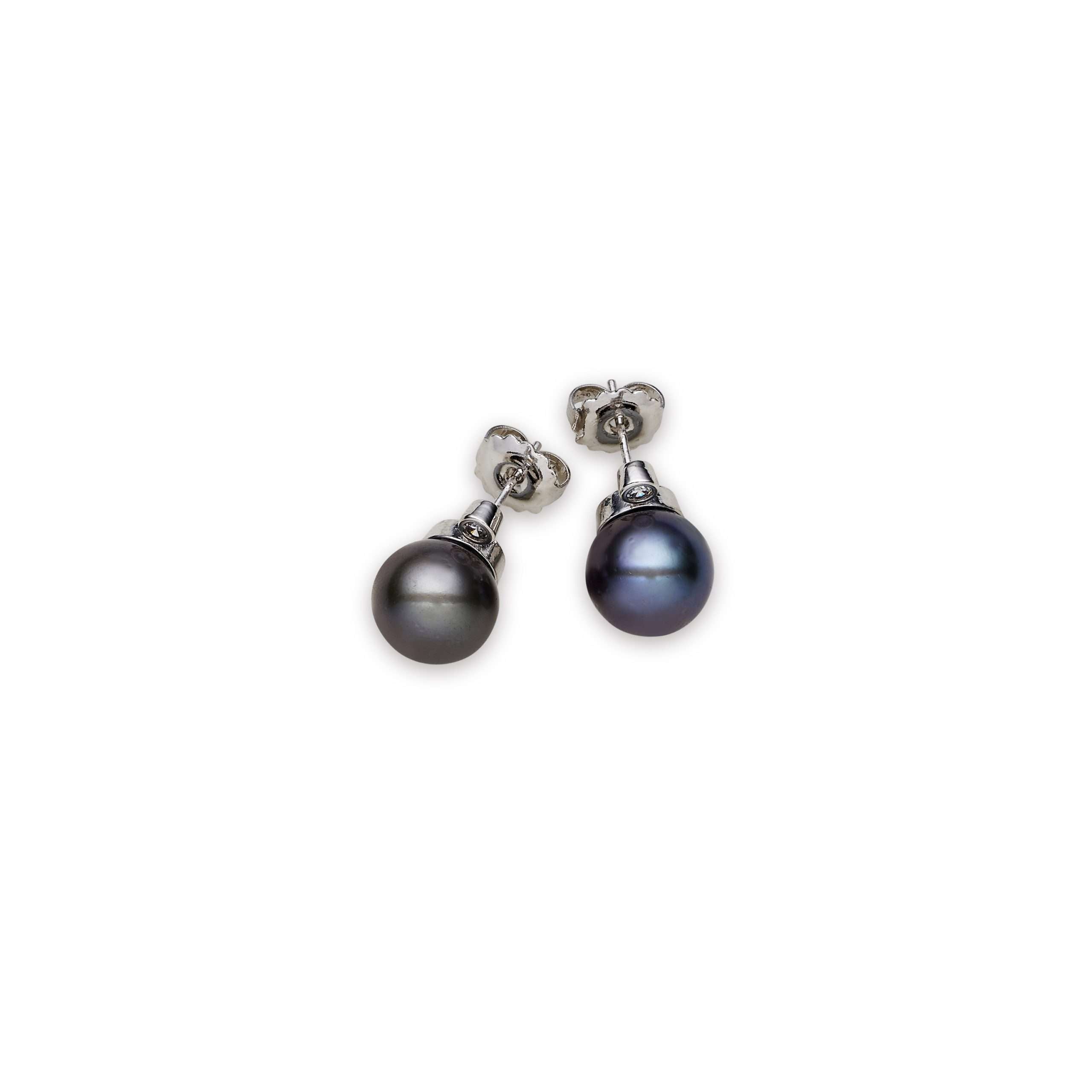 Black South Sea Pearl Earrings 12-13 mm in Sterling Silver