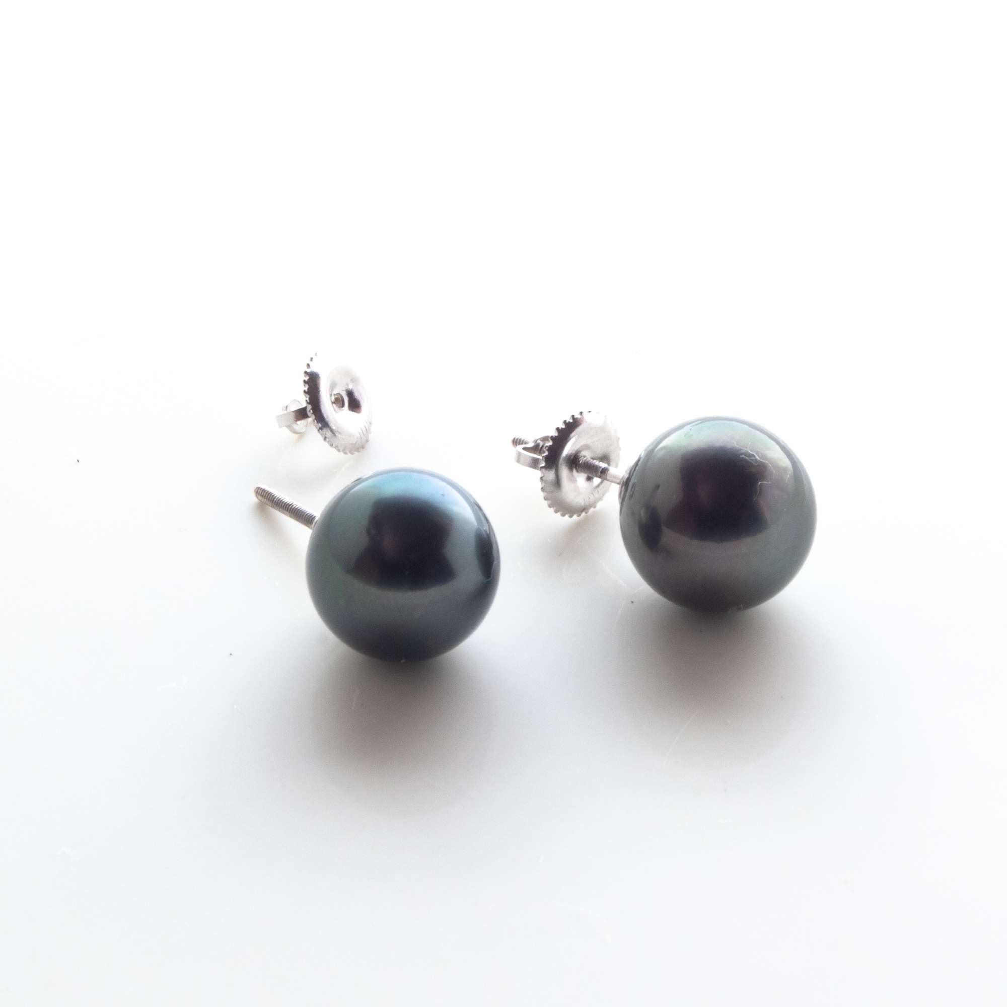 South Sea Pearl Earrings in Sterling Silver