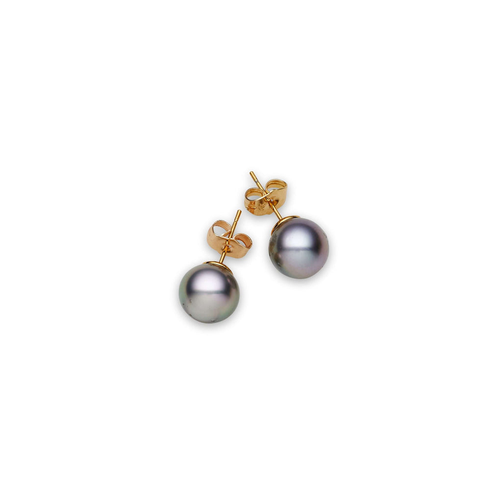 Black South Sea Pearl Earrings 10-11 mm in Sterling Silver
