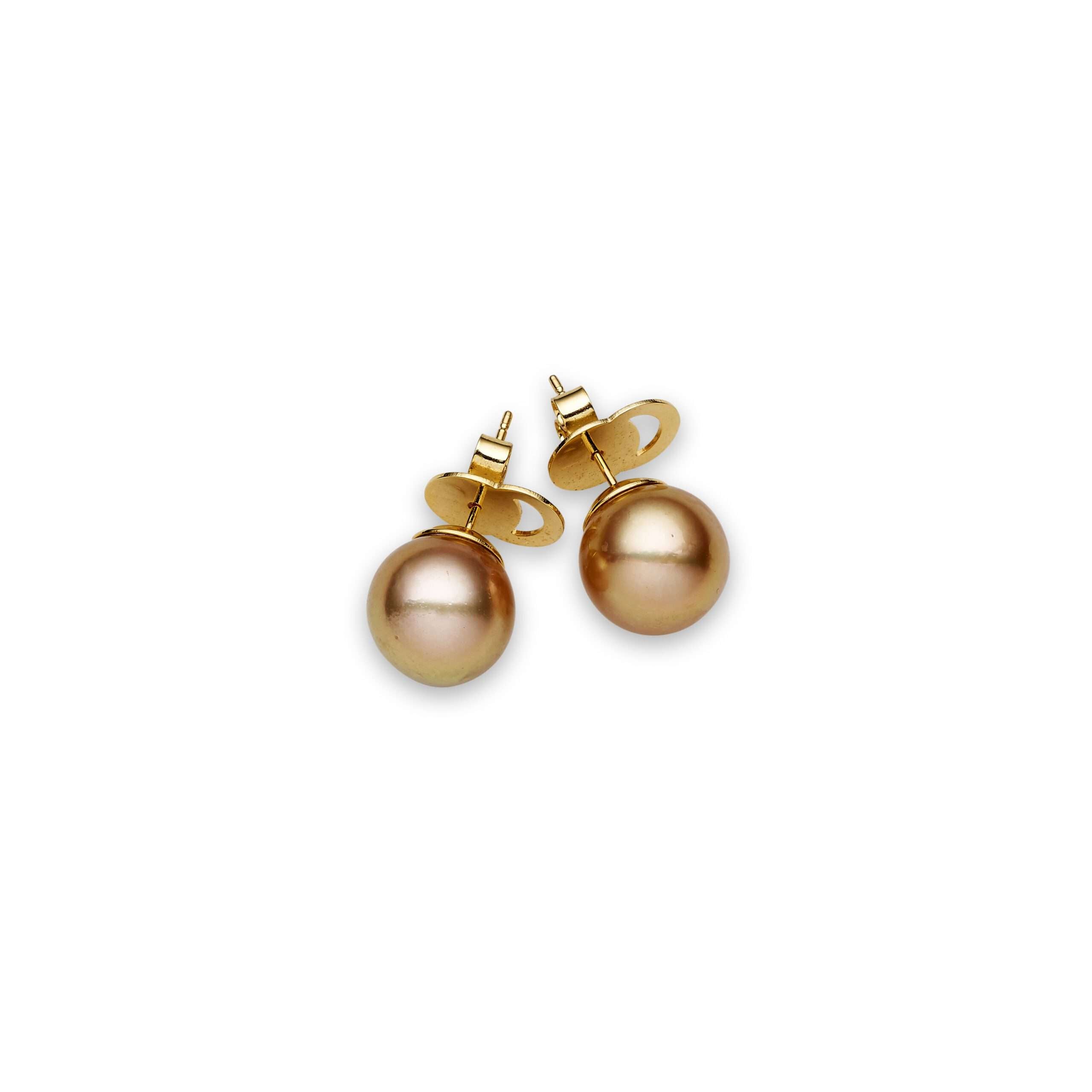 Gold South Sea Pearl Earrings 12-13 mm in 14 CT Yellow Gold