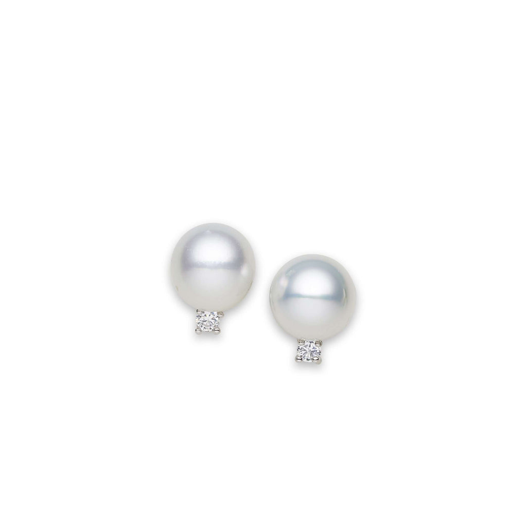 South Sea Pearl Earrings 12-13 mm in Sterling Silver