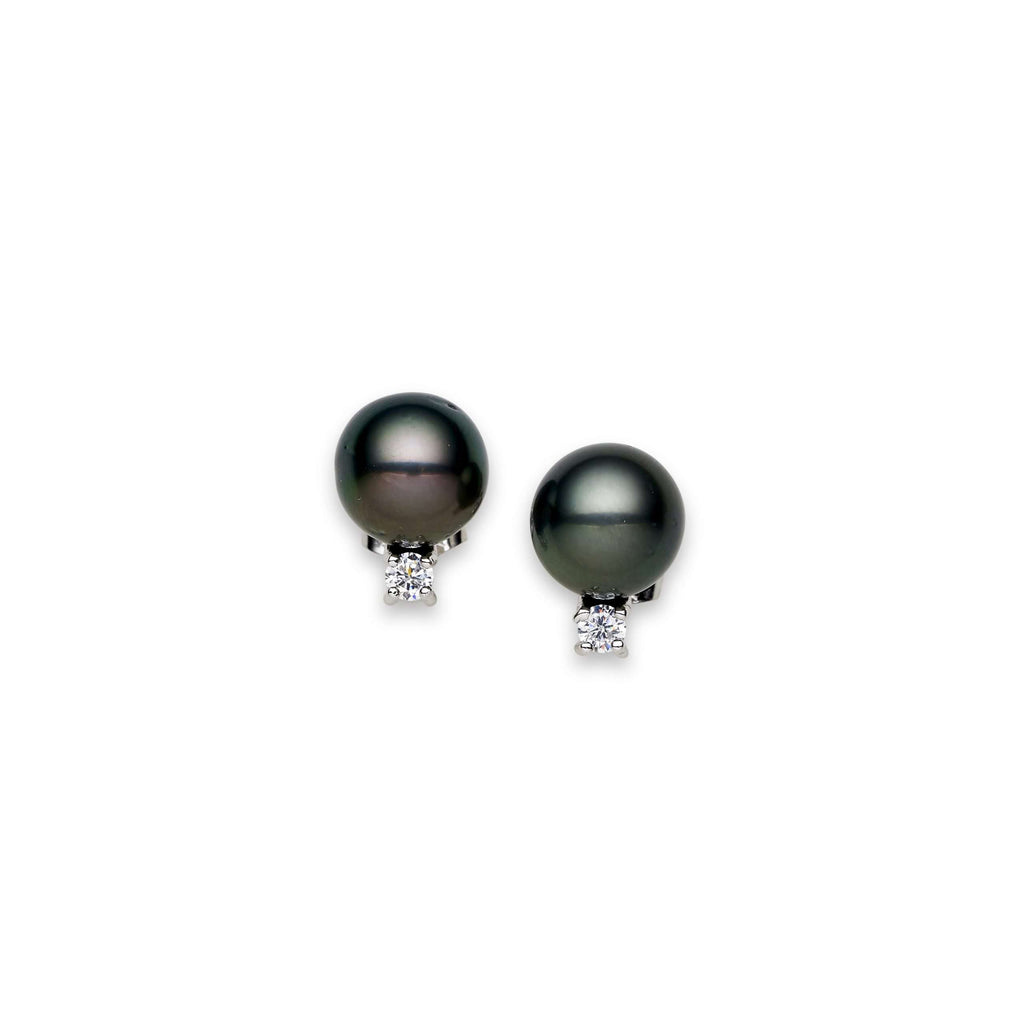 Black South Sea Pearl Earrings 11-12 mm in Sterling Silver