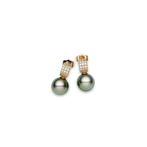 Black South Sea Pearl Earrings 11-12 mm in Sterling Silver