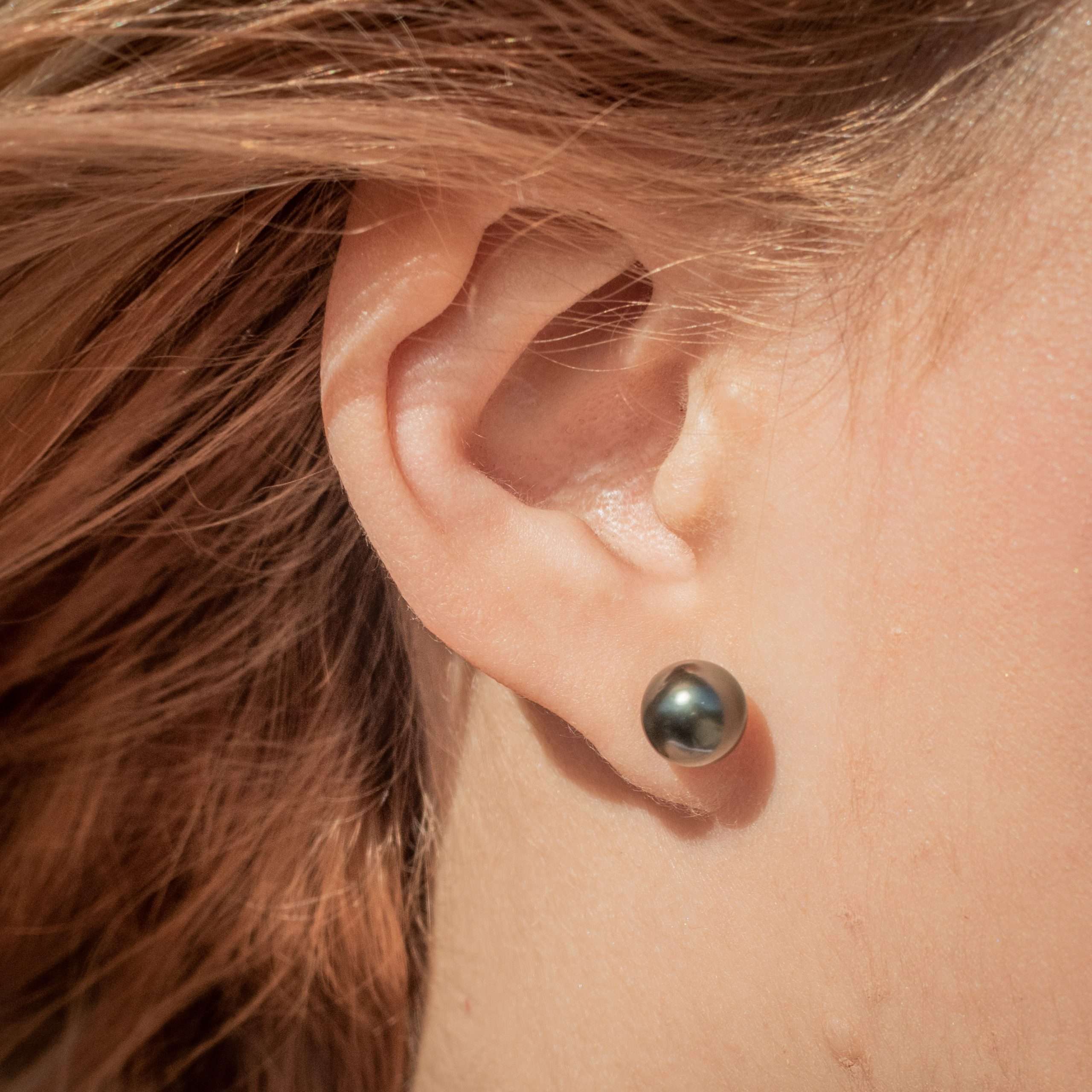 South Sea Pearl Earrings in Sterling Silver