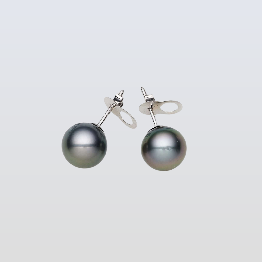 Tahitian South Sea Black Pearls Prague 14ct White Gold Earrings 10-11 mm AAA