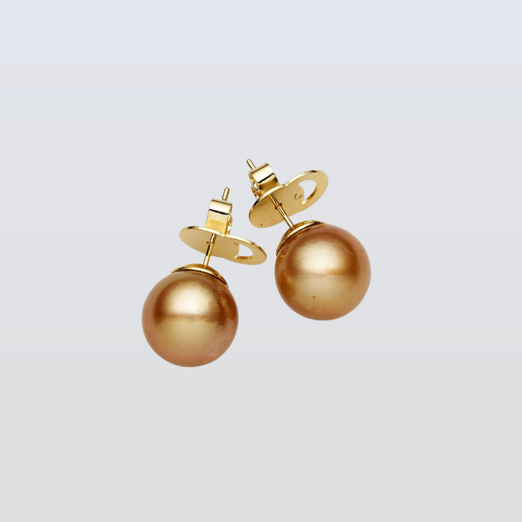 South Sea Deep Gold Pearls Newtown 14ct White Gold Earrings 12-13 mm AA+
