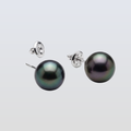 Tahitian South Sea Black Pearls in 10 CT Gold Pirae Screwback Earrings 10.5 - 11.5 MM AA
