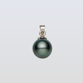 Tahitian South Sea Black Pearls Port Douglas 14ct White Gold Pendant 12-13 mm AAA